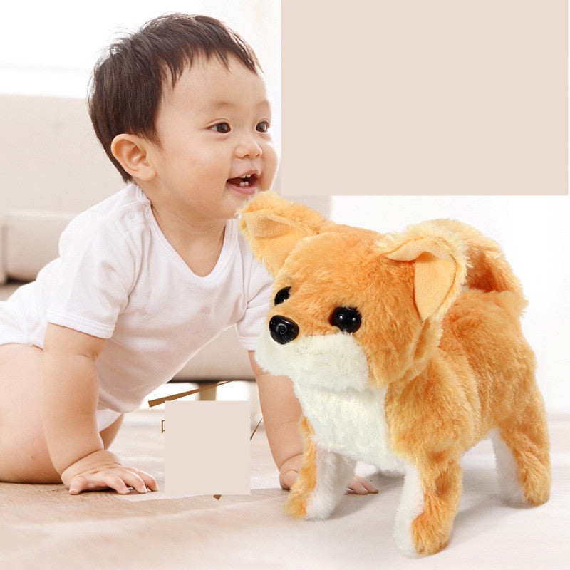 Corgi Teddy Bunny – Peluche Électrique Animale Enfant