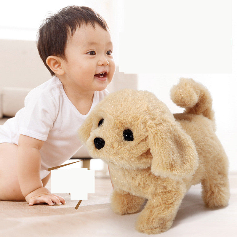 Corgi Teddy Bunny – Peluche Électrique Animale Enfant