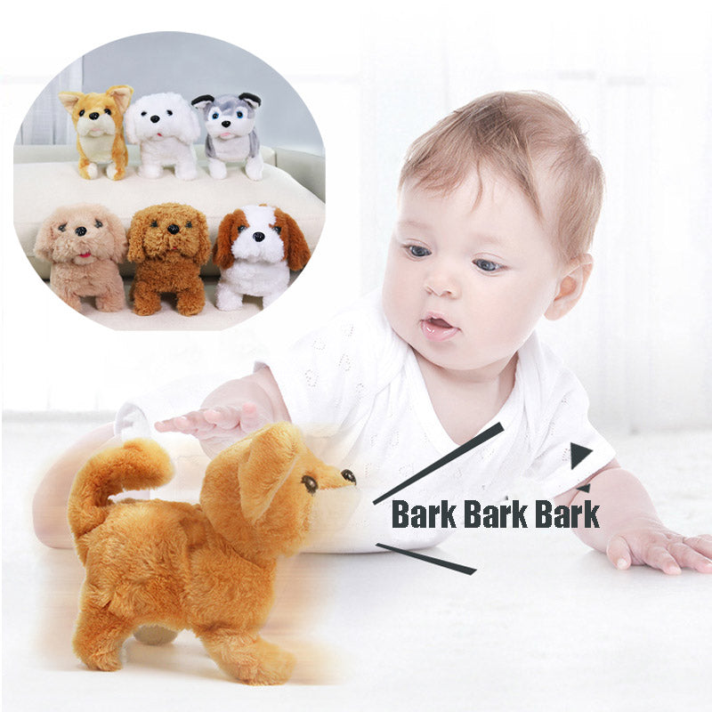 Corgi Teddy Bunny – Peluche Électrique Animale Enfant