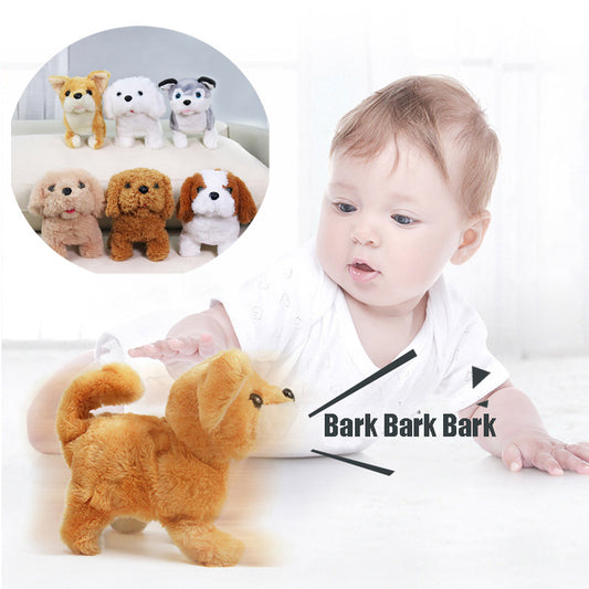 Corgi Teddy Bunny – Peluche Électrique Animale Enfant